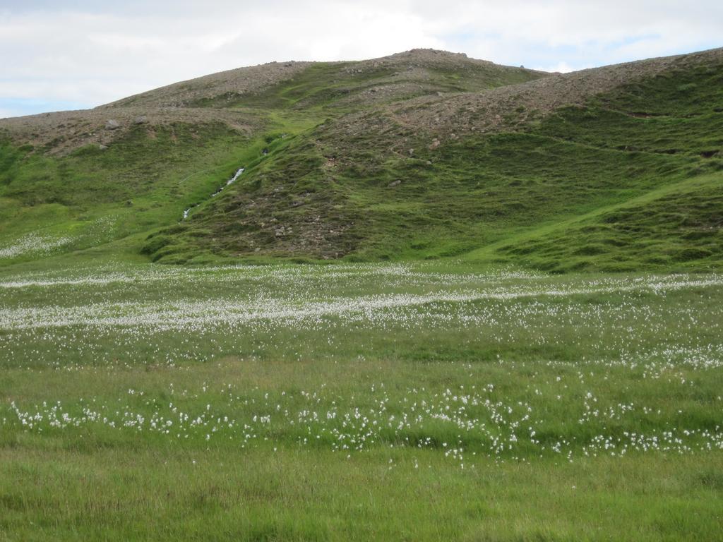 Guesthouse Gimbur Reykjarholl Luaran gambar